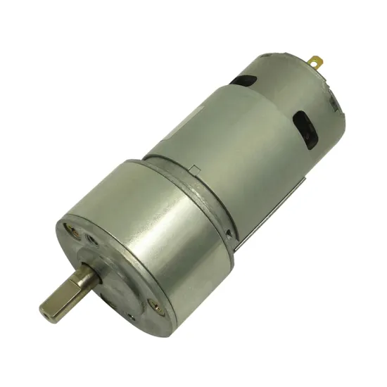 24V DC RS775SH Geared Motor with Spur Gearbox High Torque