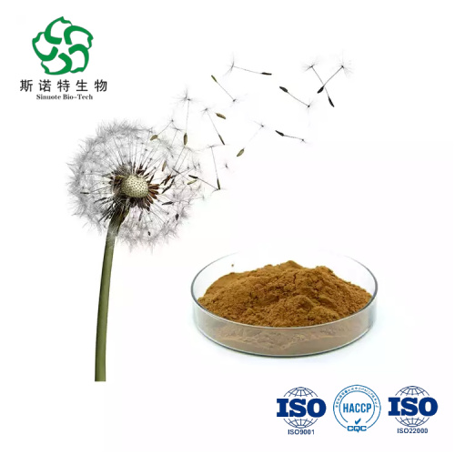 Plant Extract Powder Free Sample Pure Natural Dandelion Root Extract Powder Supplier