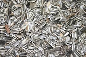 sunflower seeds Exporters turkish sunflower seed bulk sunflower seeds