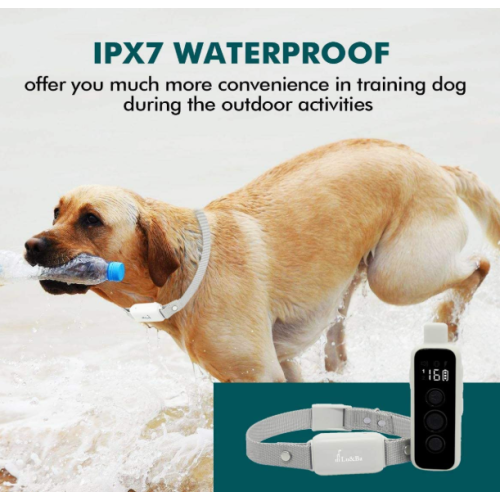 1000FT jarak jauh kerah anjing tahan air