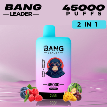 Bang Leader 45000 Disposable Vape Distributor Cheap Price