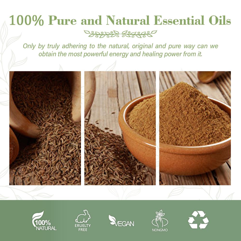 Wholesale Hot Selling Black Cumin Seed Oil Private Label Pure & Organic Cold Pressed Oil