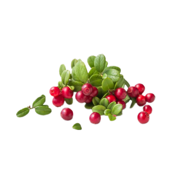 Bearberry Extract Powder Cosmetic Grade
