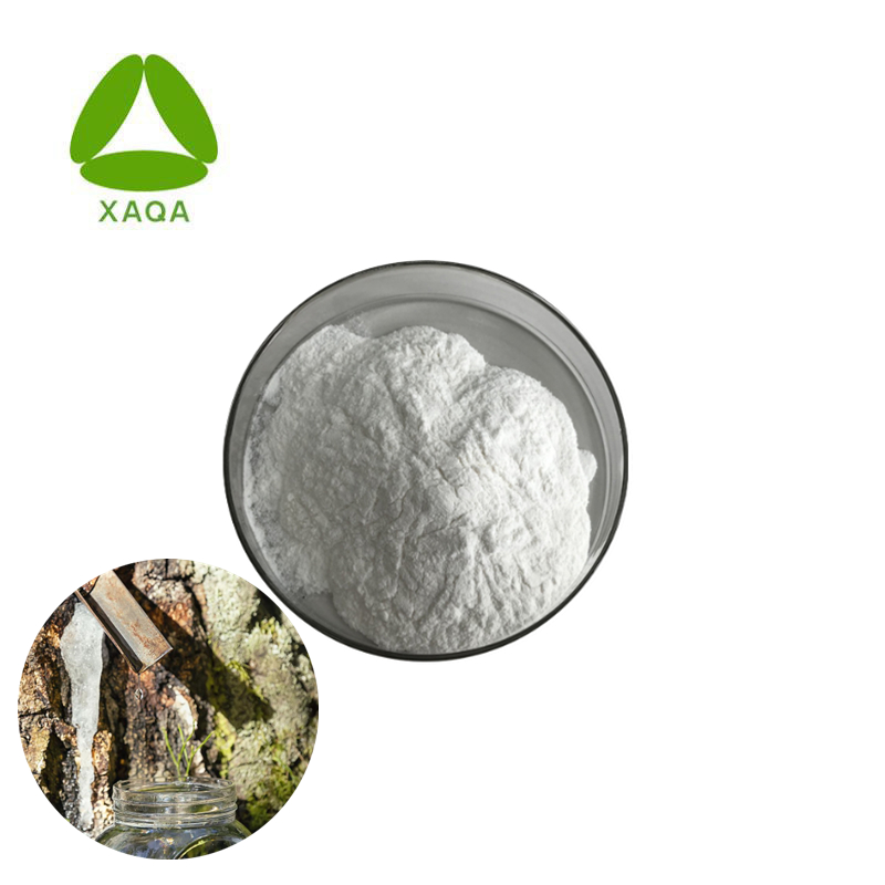 Organic Grade White Birch SAP Juice Extract Powder