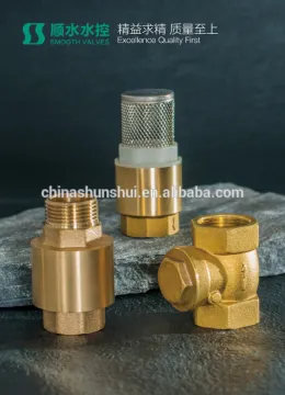 shunshui Brass check valve / flanged check valve/ forging valve/ vertical check valve SS6050