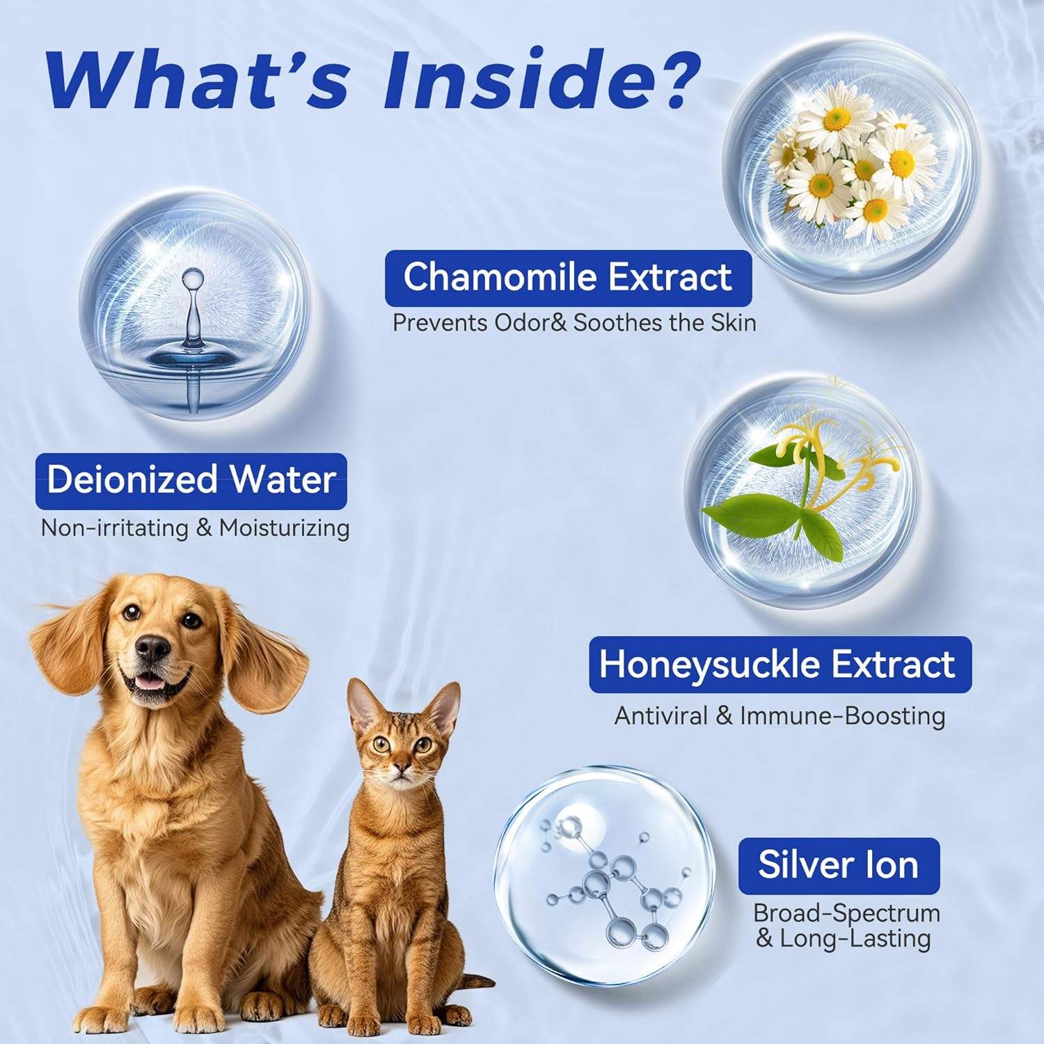 H5ed0d2cb04a1414d91bf1885b1eb6e81W