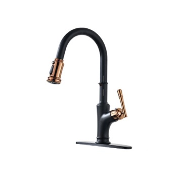 Trustworthy and Long-Lasting Kitchen Faucet