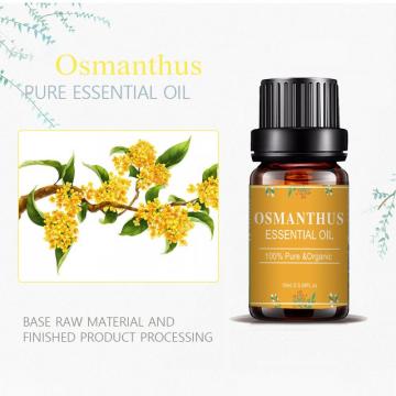 OEM Pure Natural Organic Osmanthus perfumado óleo essencial