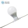 Addressable Waterproof IP65 LED Bulb Festoon Lighting