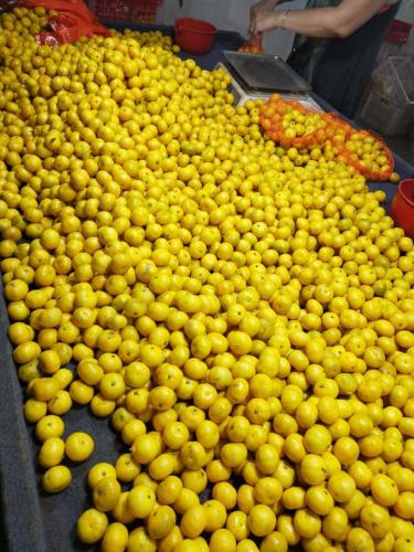 Bebek mandalina portakalları doğrudan fabrikadan alınmıştır.