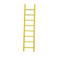 Fiberglass FRP Cage Ladder για Industy