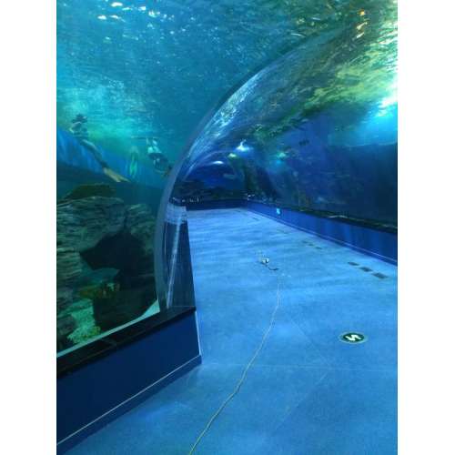 Túnel de acuario acrílico personalizado de lujo grande