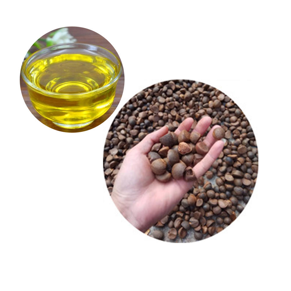 Organic camellia seed oil bulk price cooking massage