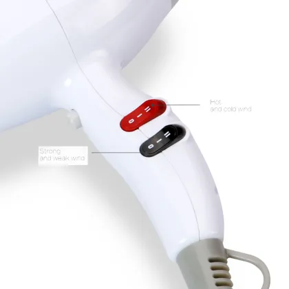High Speed 2000W Custom Logo Professional Salon Hair Dryer - Revair