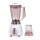 Temperature control 350W household Electric Juicer Blender