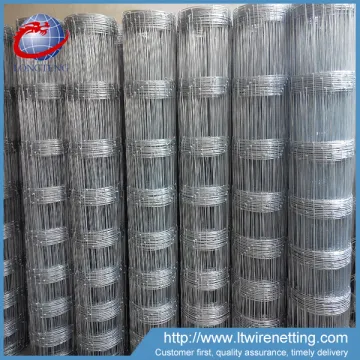 Field fence/glassland fence/hinge joint knot fieled fence for sale