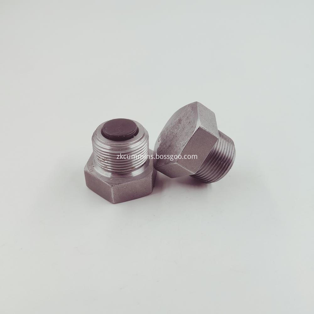 Pipe Plug 3055069 Pipe Plug 3055069