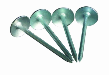 Galvanized with Umbrella Head Roofing Nail 043