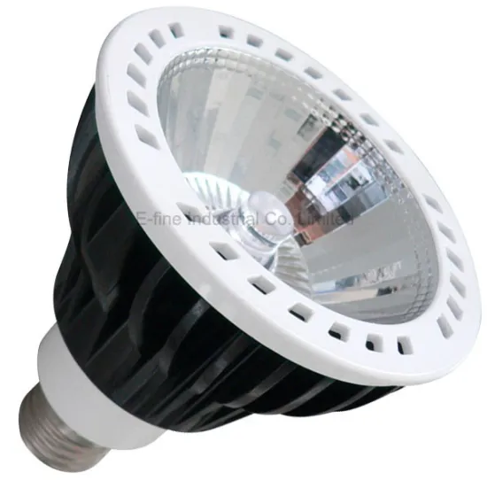 CE ROHS PAR30 LED light 13W COB