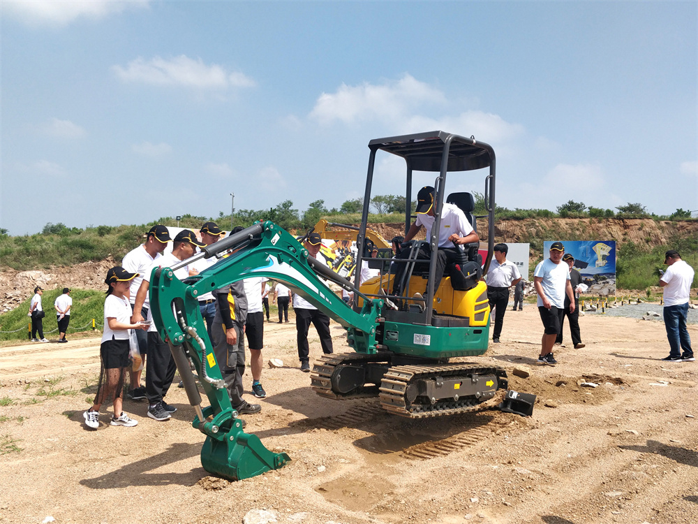 nou mini excavator de vânzare