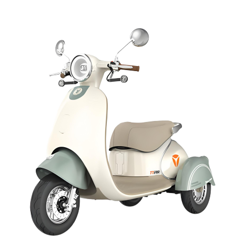 Home leisure tricycle for commuting