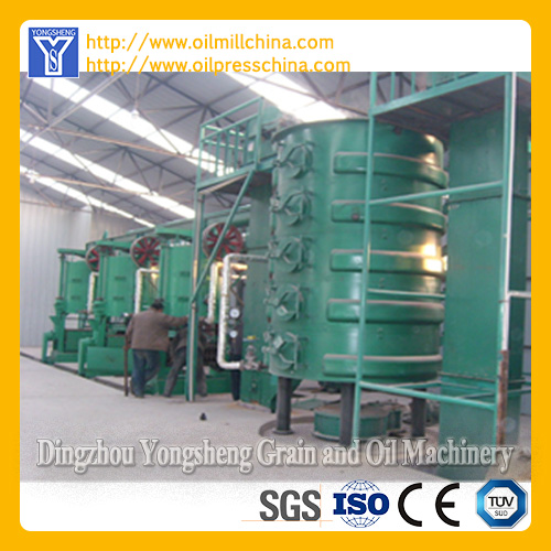 Vegetable Oil Producing Line