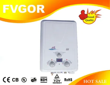 6l flue gas water heater