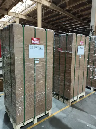 Large Capacity CO2 Incubator for Immunology and Genetics Research