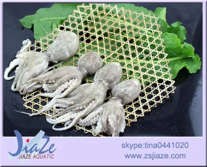 Delicious frozen flower octopus