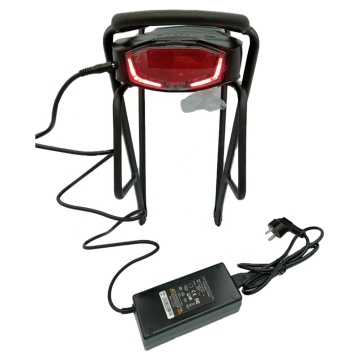 CE/RoHS/EMC Approved 36V 13Ah Li-Ion EBike Battery with LG Cells and 2A/3A Charger