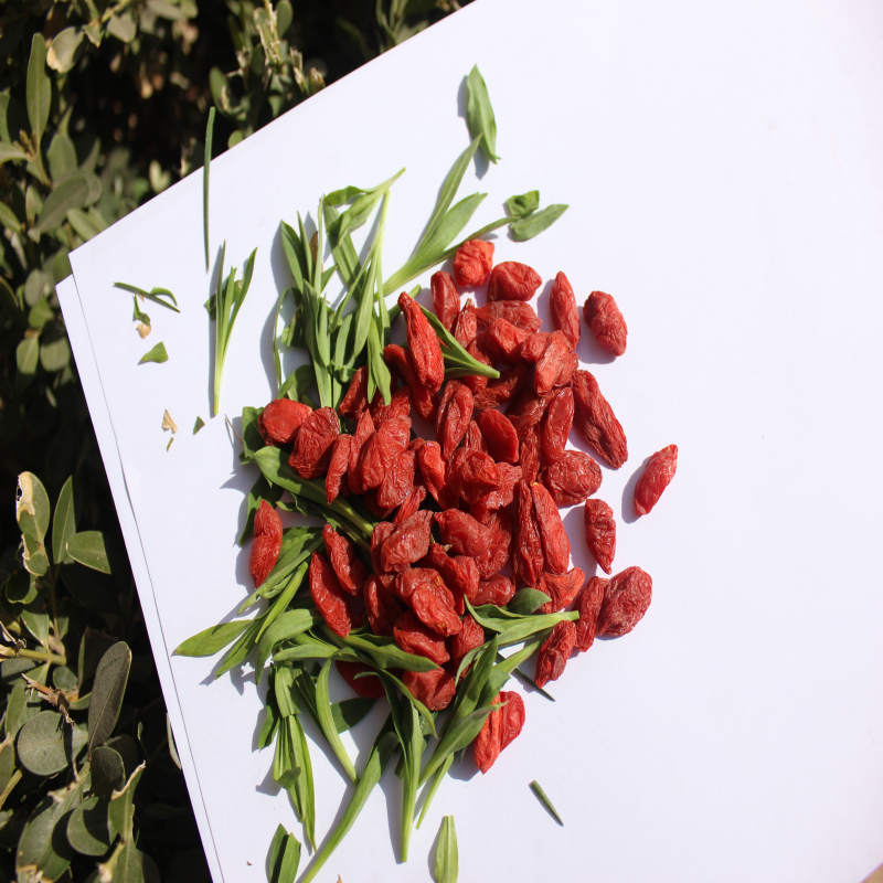 Naturligt Lågpris Gratis Prov Organisk Goji Berry