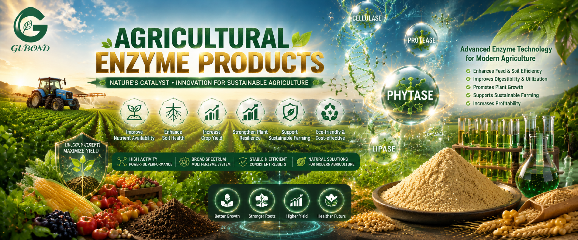 Agricultural enzyme products