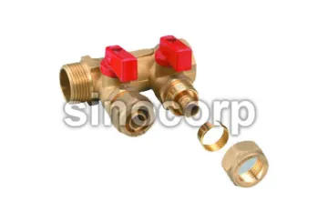 Manifold