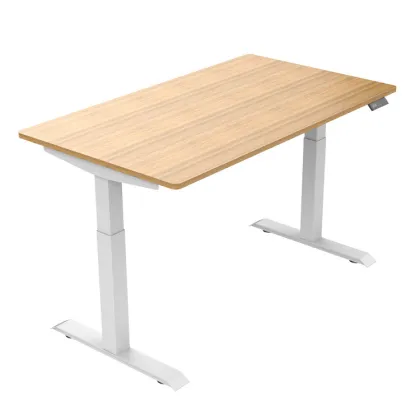 2025 COTUO fantastic electric desk up New design ergonomic motorized smart office furniture and down computer desk frame
