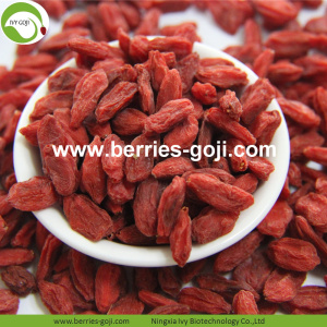 Factory Wholesale Super Food Nutrition Ningxia Goji Berries