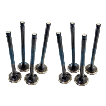 Exhaust Valve Model 2221245000