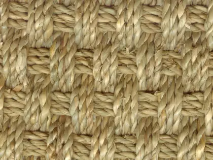 Aquatic Plant Carpet Aqua Rug Aqua Mat