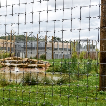 Galvanized Horse Field Fencing 1.8mm Wire 1.0m x 98m Roll