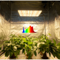 LED Grow Hydroponic Full Spectrum