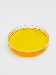 Organic Sea Buckthorn Seed Oil