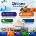 Chitinase Sigma for Agricultural Use