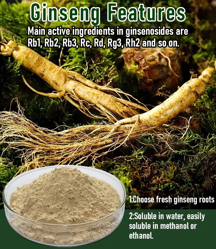 Ginseng Root Extract