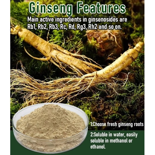Pure Panax Ginseng Saponins Powder 60% Ginsenosides