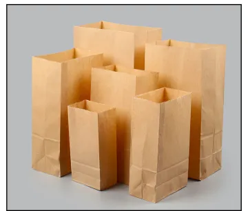 Food packing kraft paper take away bag