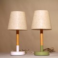 Influencer's home small table lamps