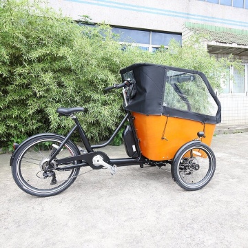 Load Balancing Electronic Swing Device 250W Children's Bicycle Transport, Ebike E-Family Cargo E Bike with Rain Awning: Advanced Mobility Solution