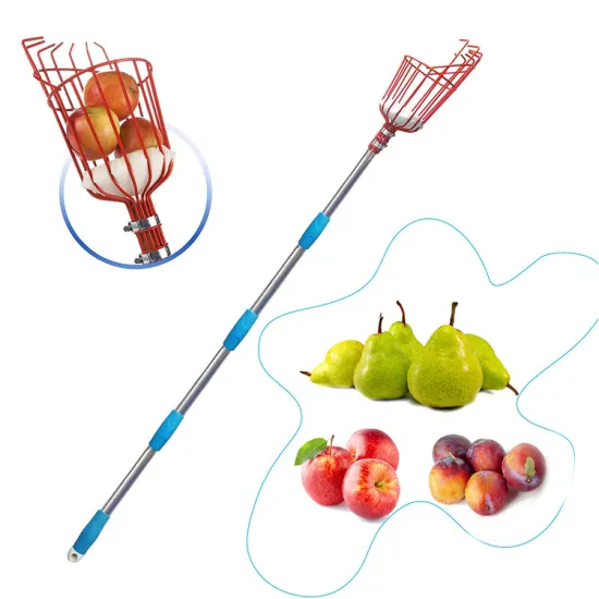 Height Adjustable 13ft Stainless Steel Fruit Picker Tool: Reach for Apples, Oranges, and Pears with Ease