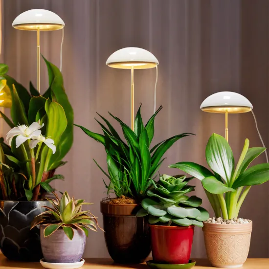 Height Adjustable Desk USB Grow Lights with Dimmable Timer for Indoor Plants