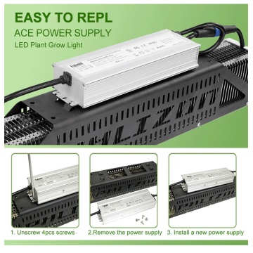 US Stock 240W Top LED Grow Light