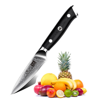 Hot Selling 3.5 Inch Damascus Steel & Carbon Steel Paring Knife with 67 Layers G10 Handle - Perfect Kitchen Gift